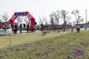 6° Cross Country Cimadolmo